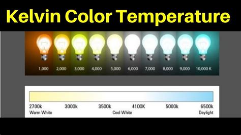 vochtmeter terrarium|terrarium lighting temperature chart.